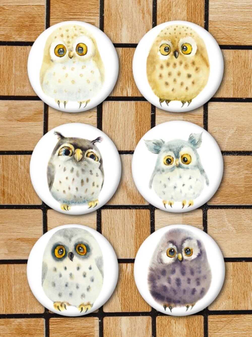 Watercolor Owl Fridge Magnets Set Of 6 Metal Magnets Home Office Kitchen School